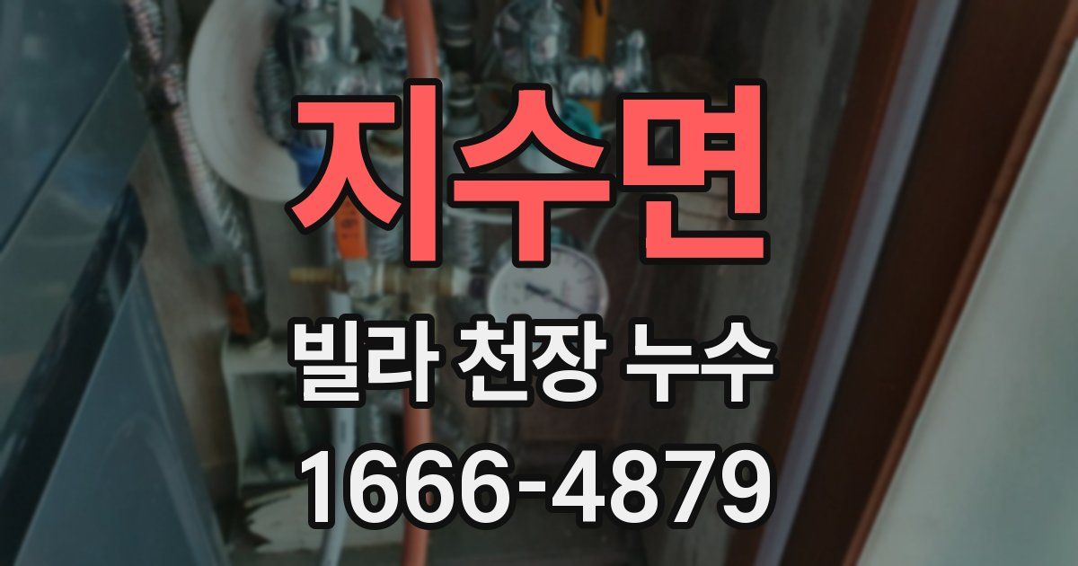 지수면 빌라 천장 누수