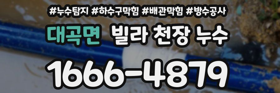 대곡면 빌라 천장 누수