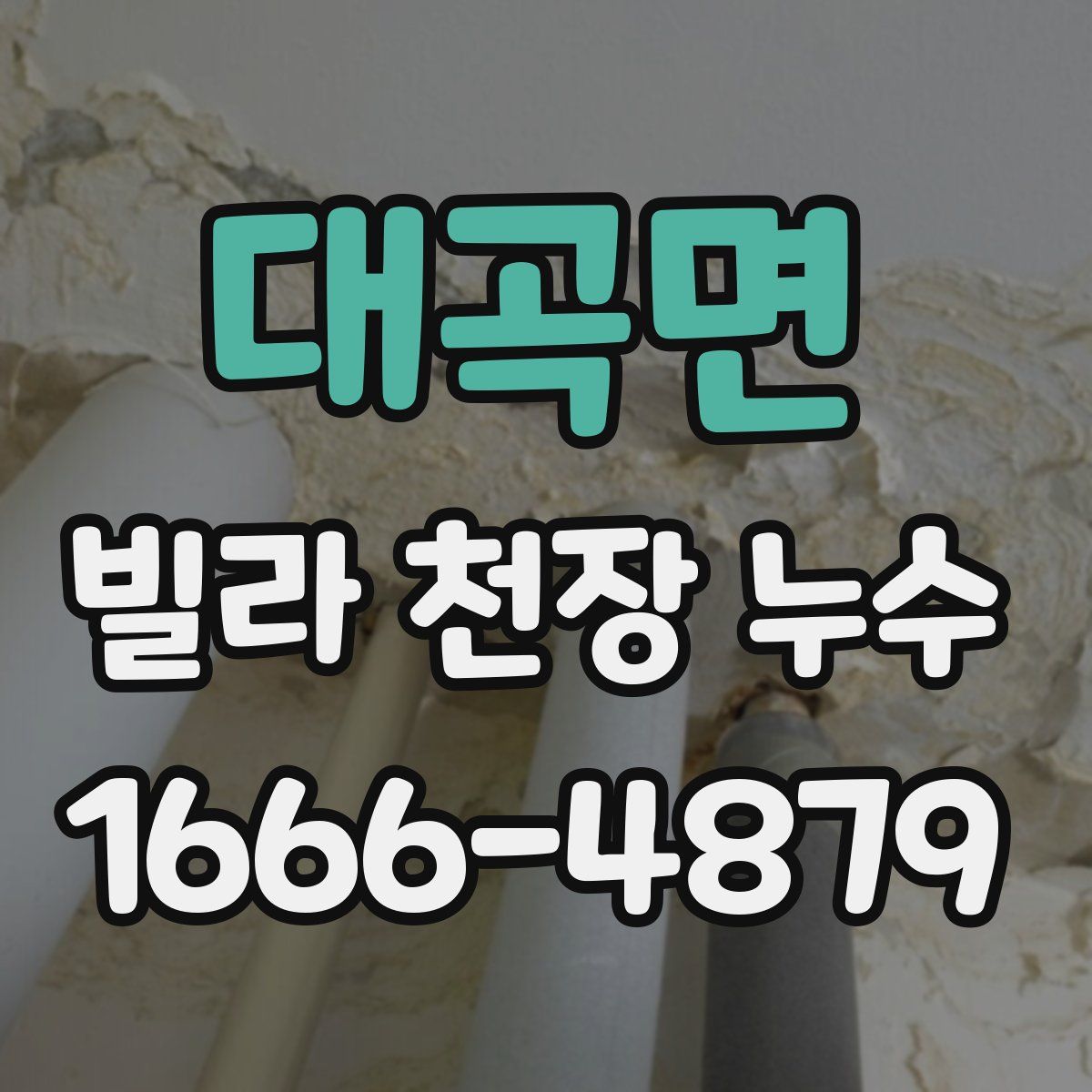 대곡면 빌라 천장 누수