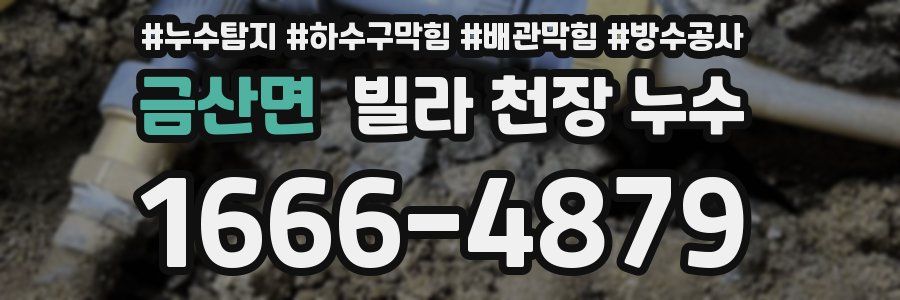 금산면 빌라 천장 누수