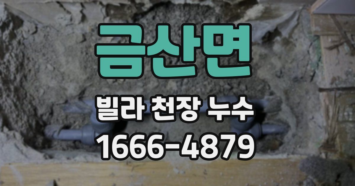금산면 빌라 천장 누수