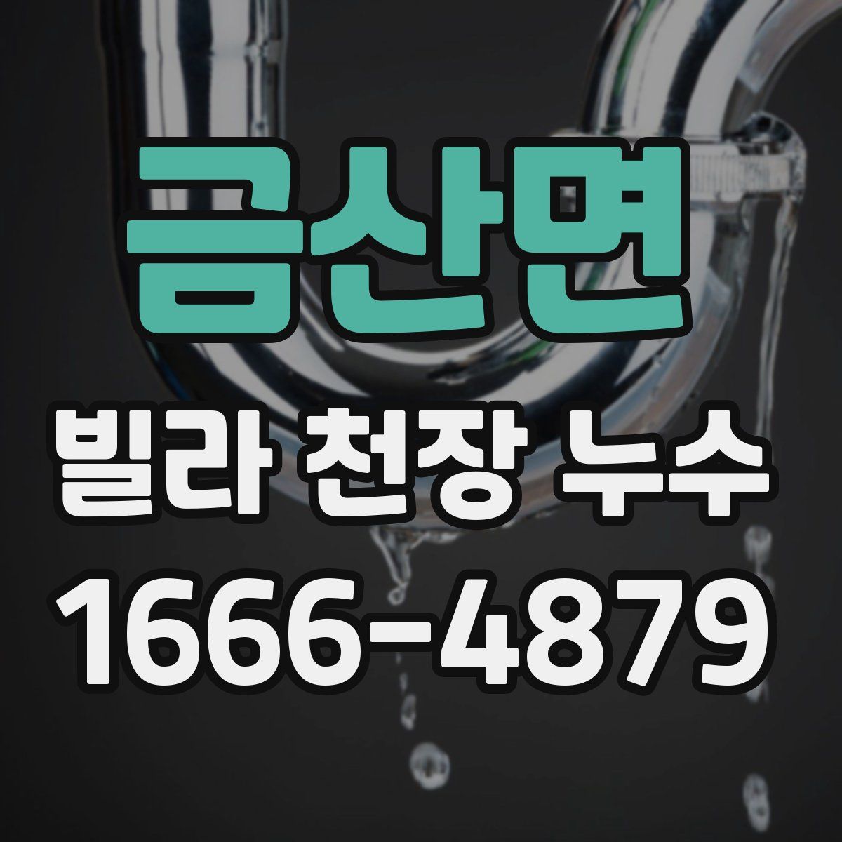 금산면 빌라 천장 누수