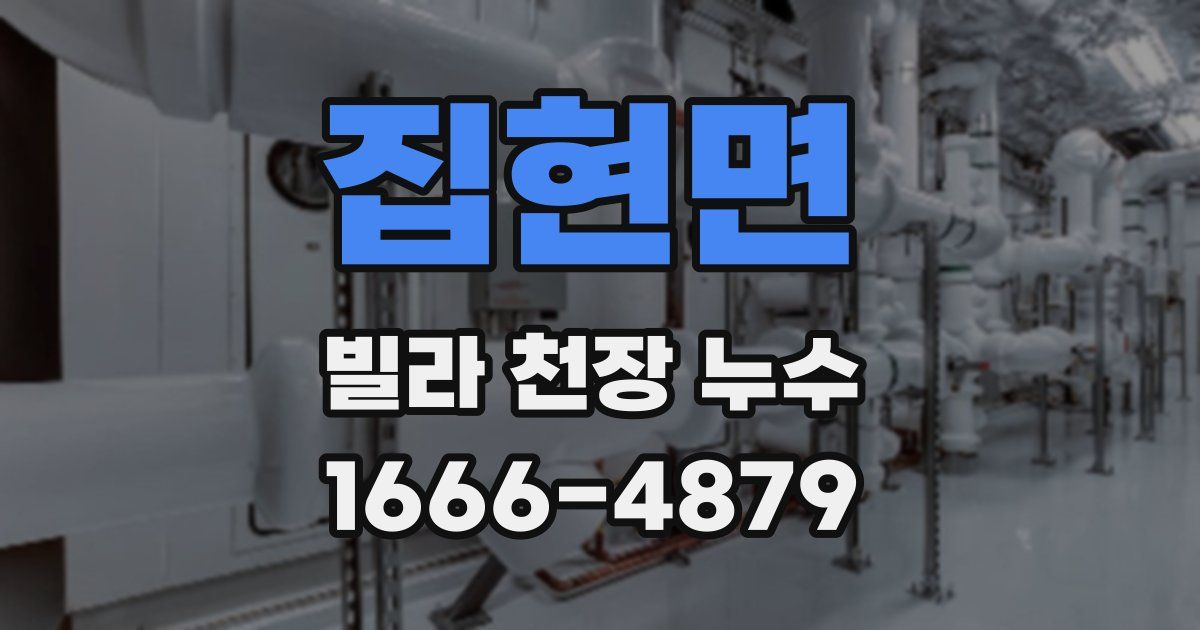 집현면 빌라 천장 누수