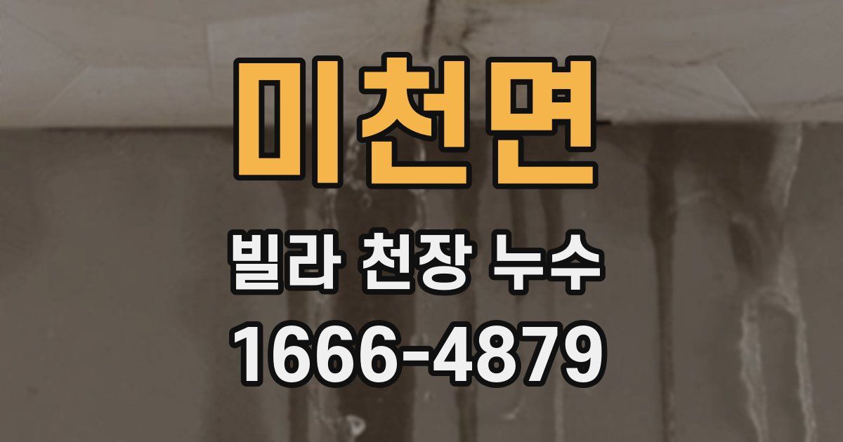 미천면 빌라 천장 누수