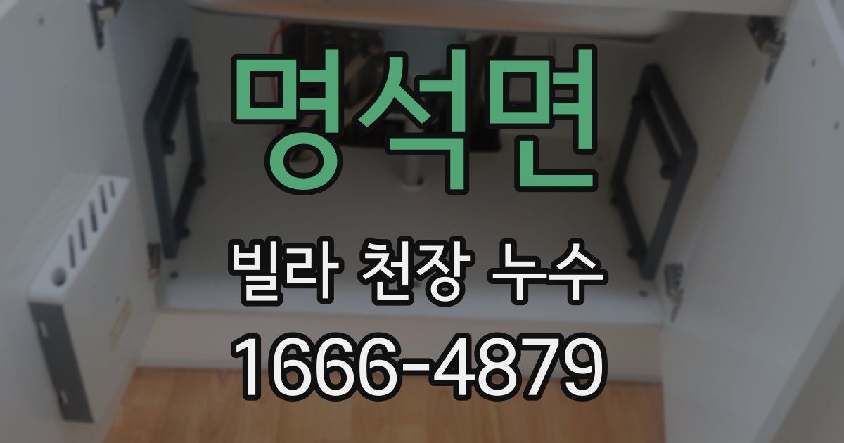 명석면 빌라 천장 누수
