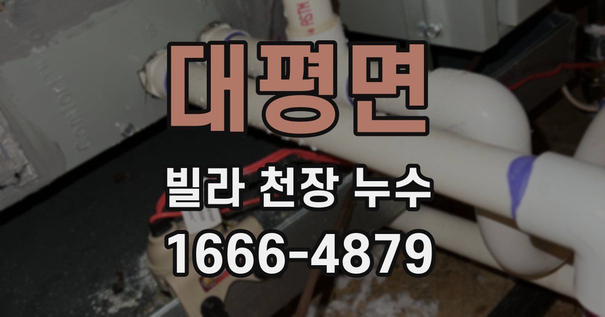 대평면 빌라 천장 누수