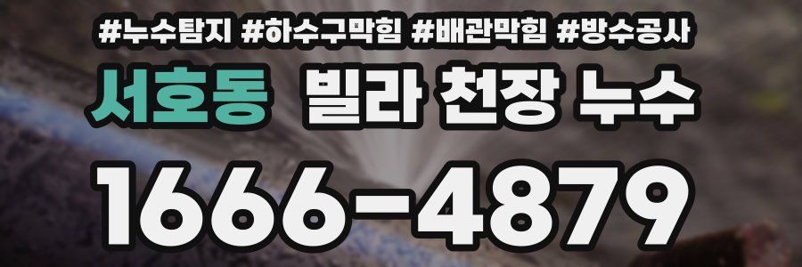 서호동 빌라 천장 누수