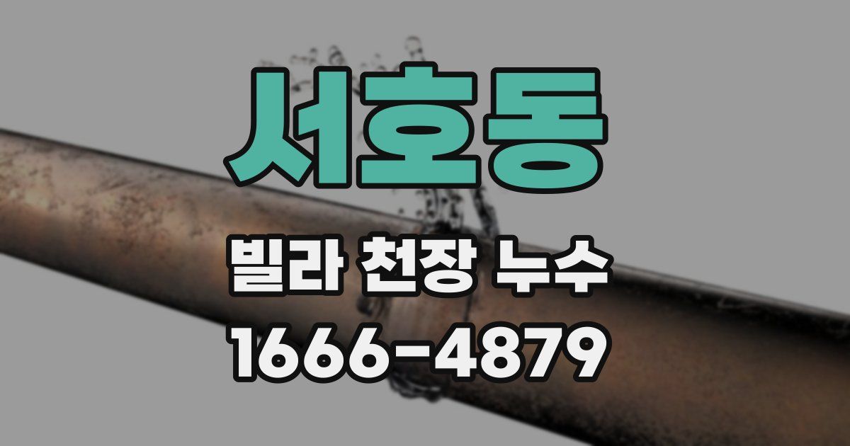 서호동 빌라 천장 누수