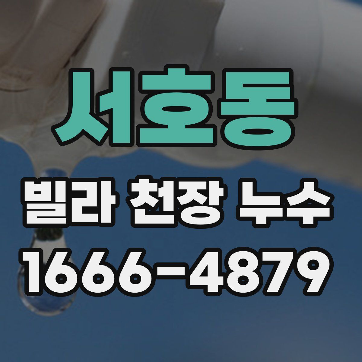서호동 빌라 천장 누수