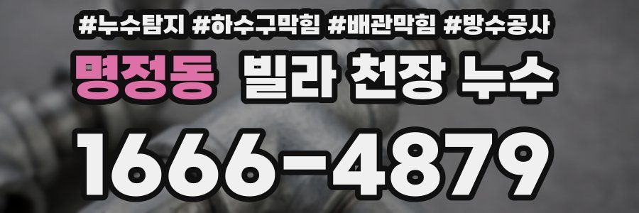 명정동 빌라 천장 누수