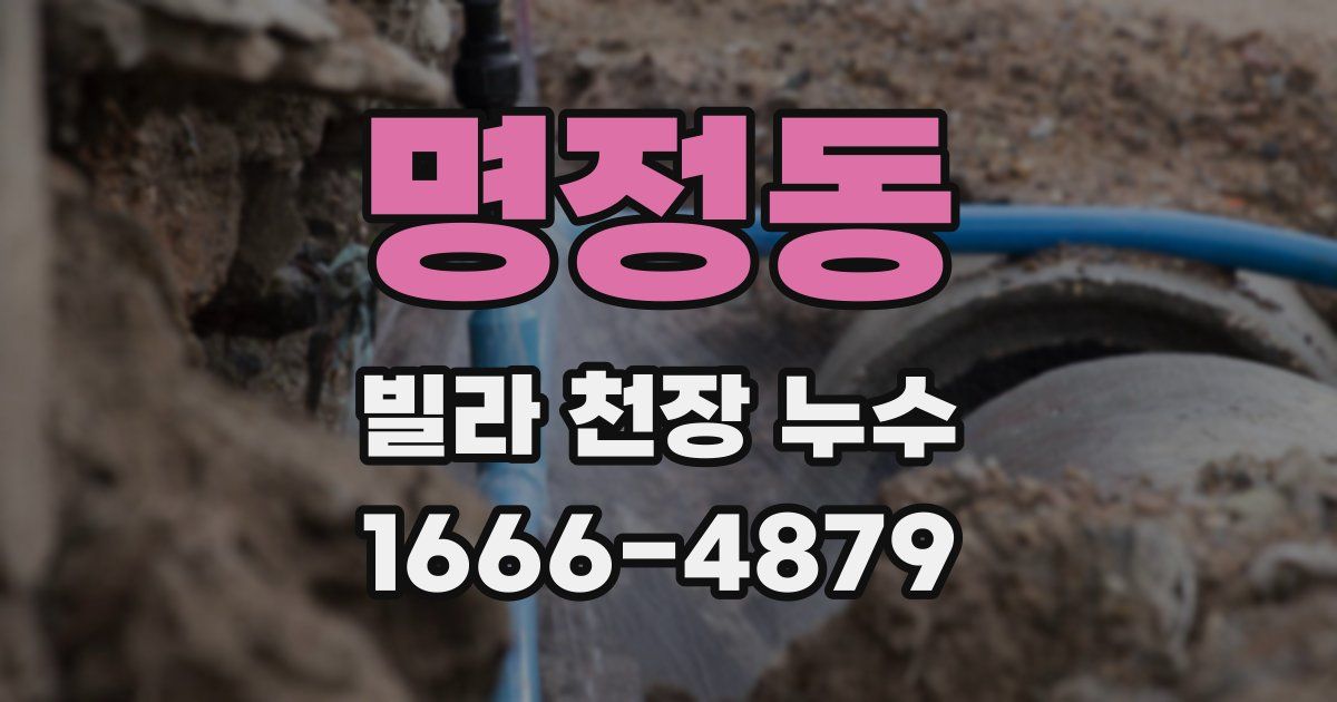 명정동 빌라 천장 누수