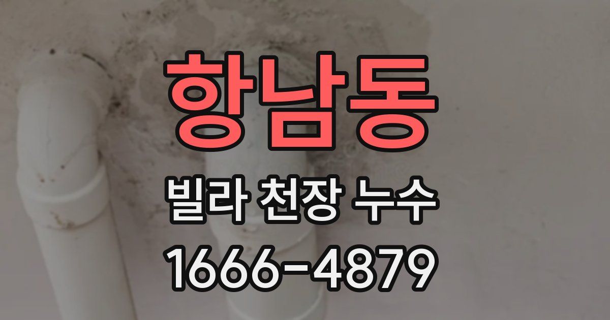 항남동 빌라 천장 누수