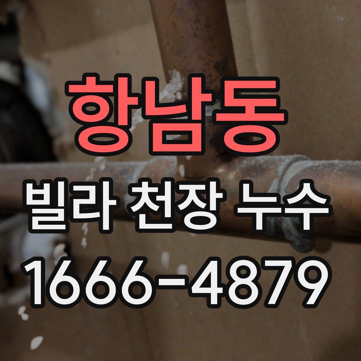항남동 빌라 천장 누수