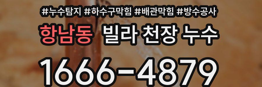 항남동 빌라 천장 누수