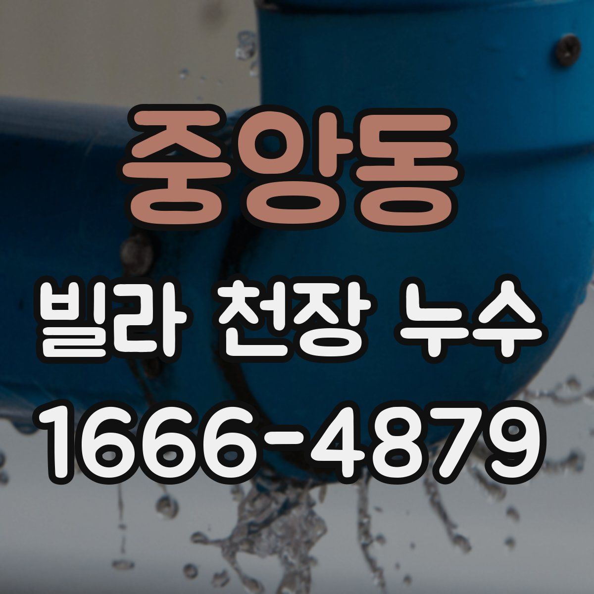 중앙동 빌라 천장 누수