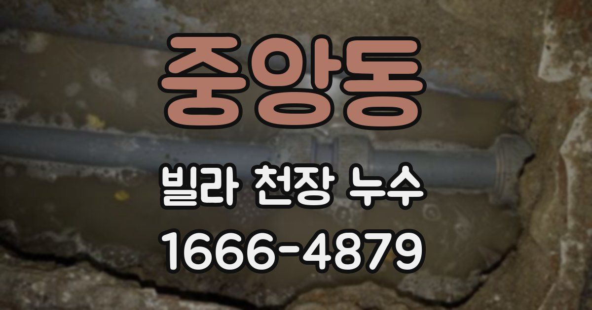 중앙동 빌라 천장 누수
