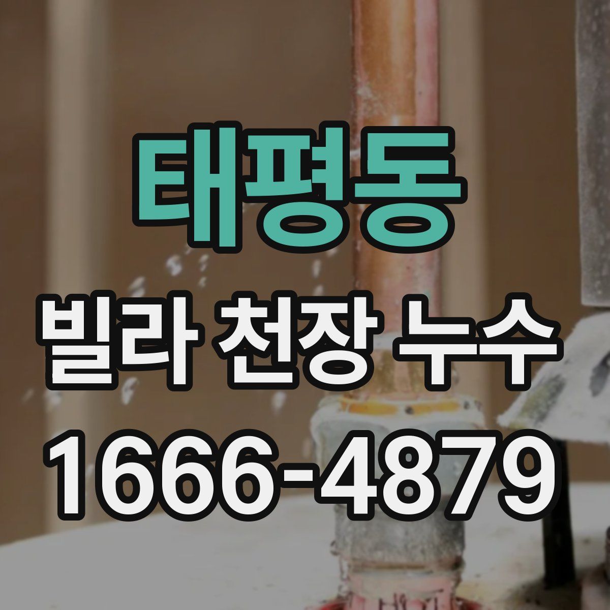 태평동 빌라 천장 누수