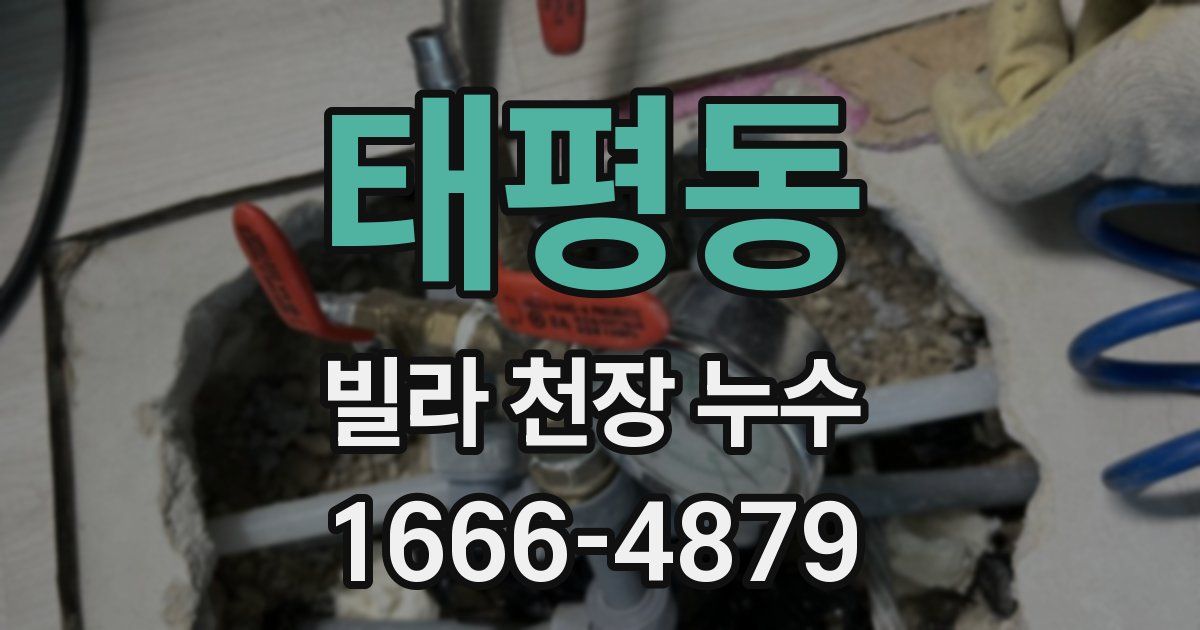 태평동 빌라 천장 누수