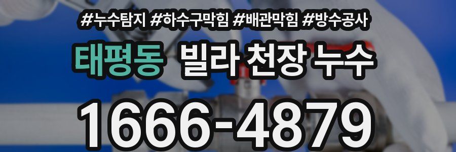 태평동 빌라 천장 누수