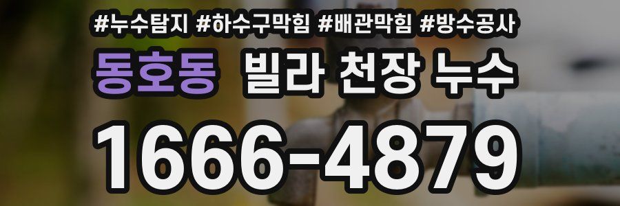 동호동 빌라 천장 누수