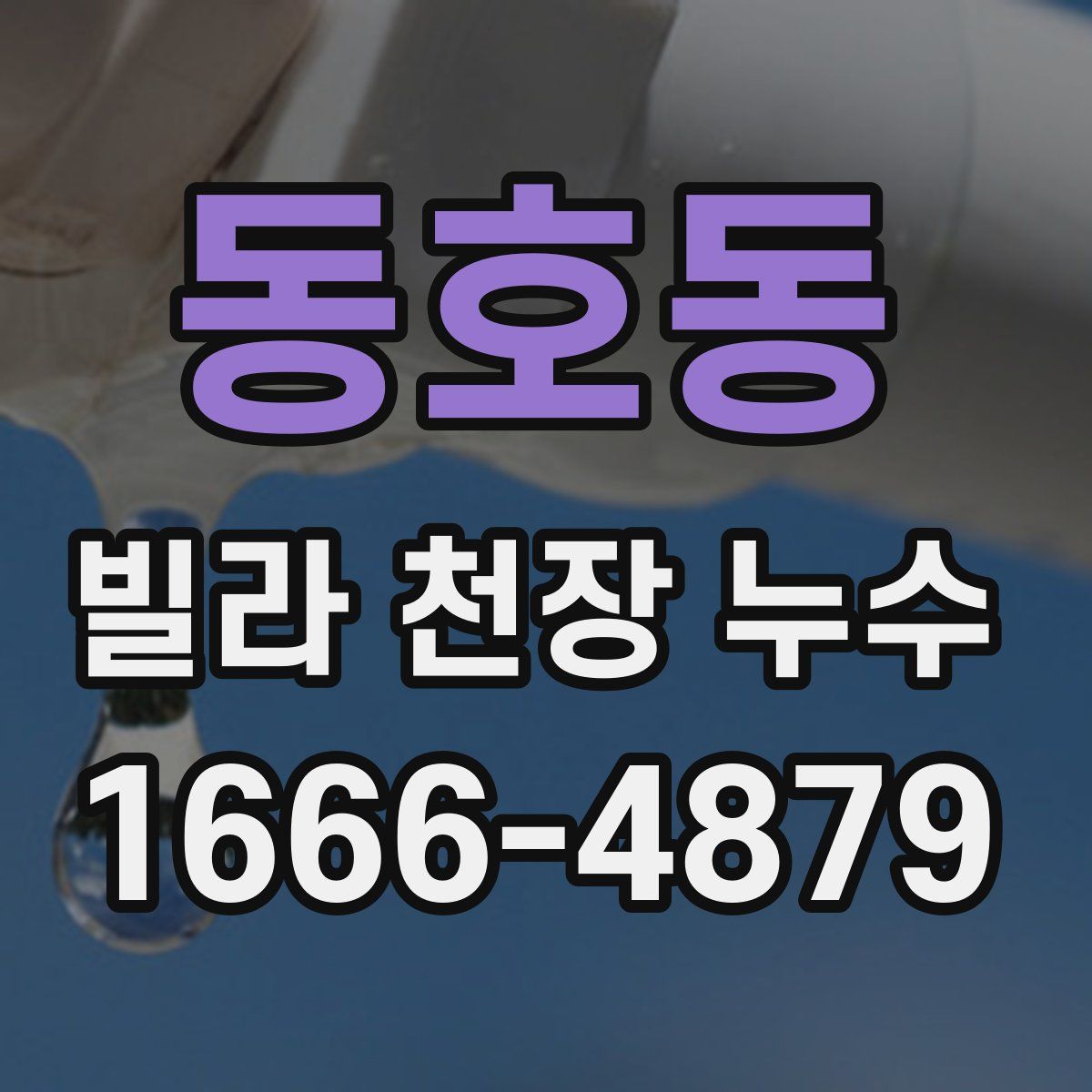 동호동 빌라 천장 누수