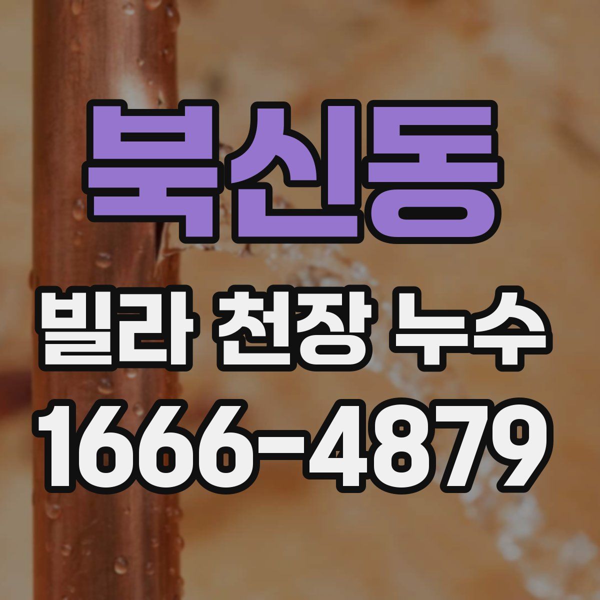 북신동 빌라 천장 누수