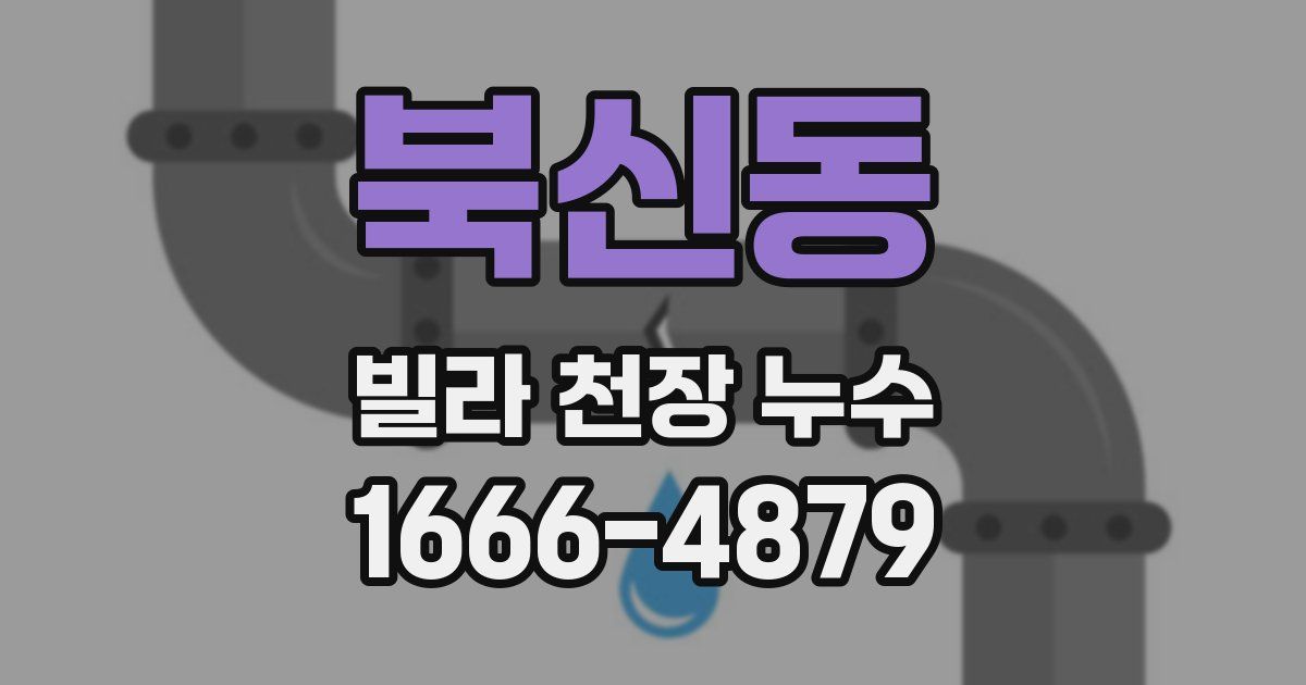 북신동 빌라 천장 누수