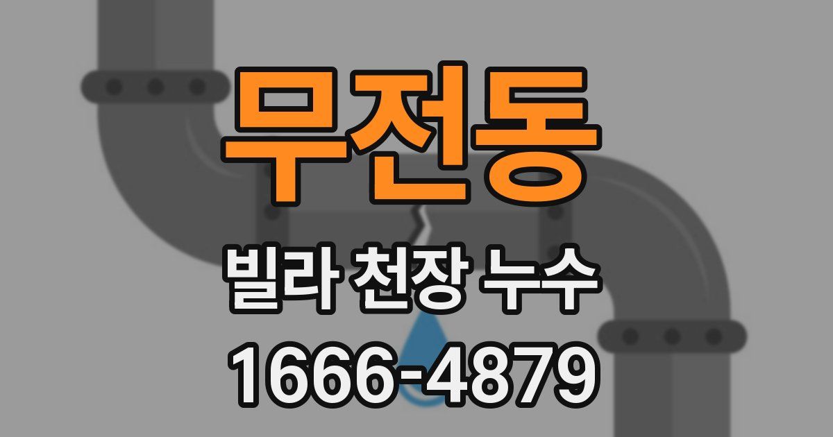 무전동 빌라 천장 누수
