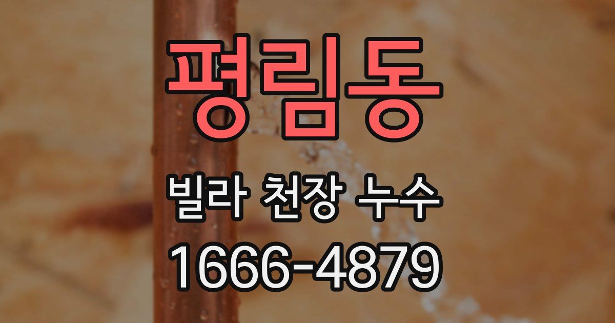 평림동 빌라 천장 누수