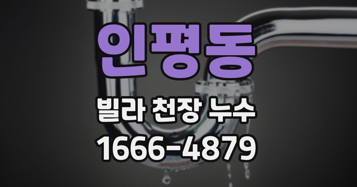 인평동 빌라 천장 누수