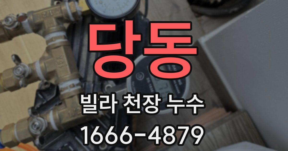 당동 빌라 천장 누수