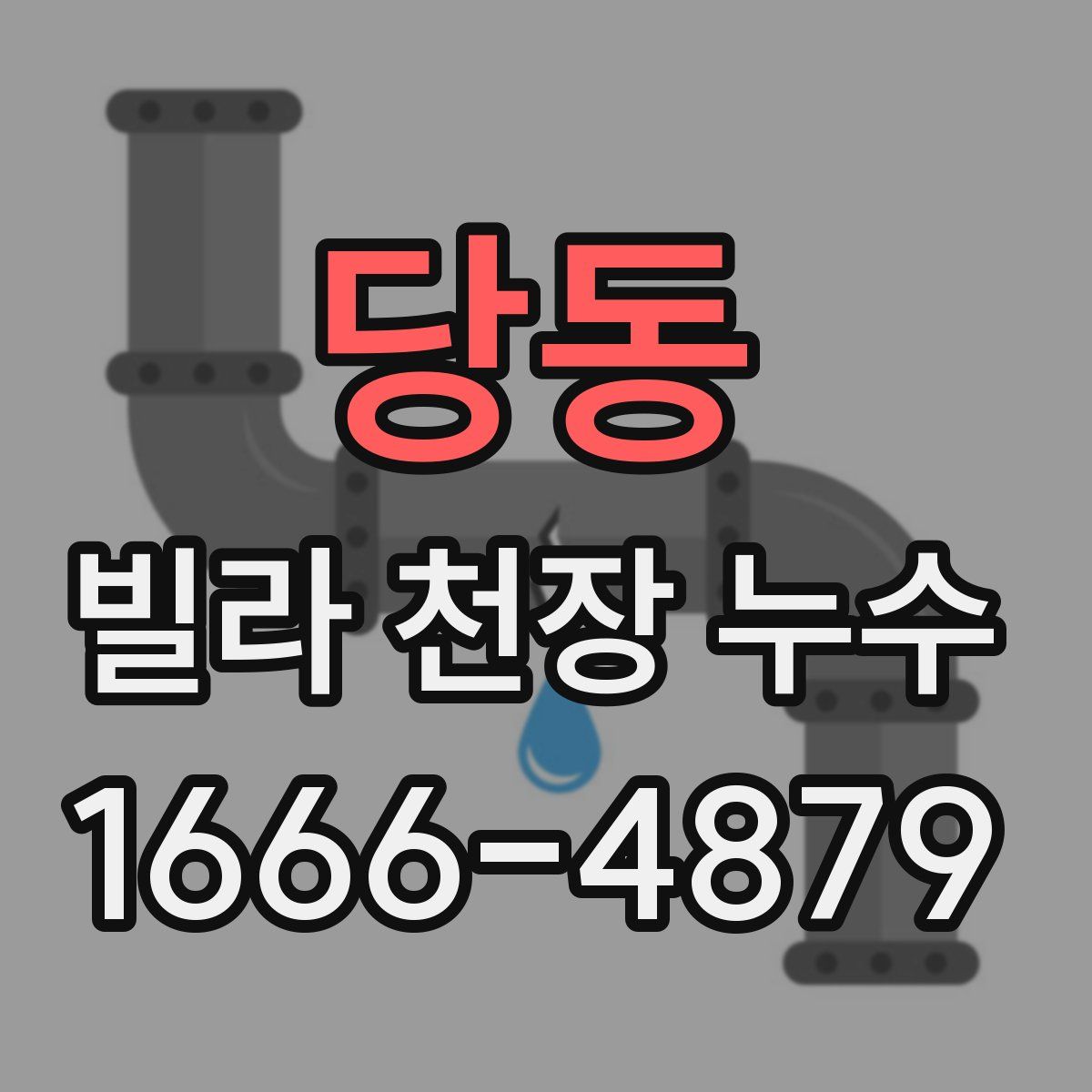 당동 빌라 천장 누수