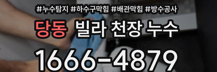 당동 빌라 천장 누수