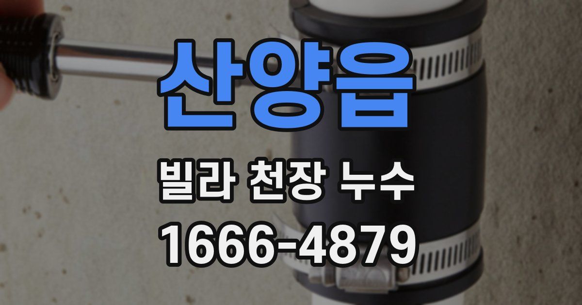 산양읍 빌라 천장 누수