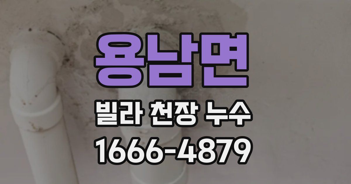 용남면 빌라 천장 누수