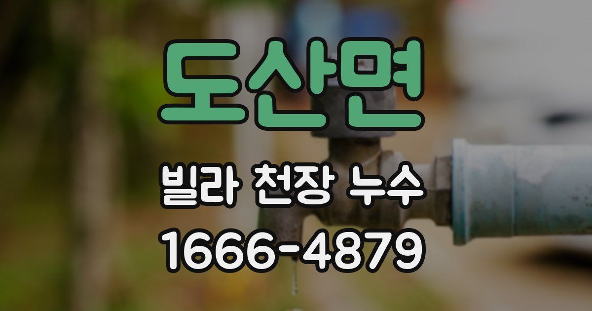 도산면 빌라 천장 누수