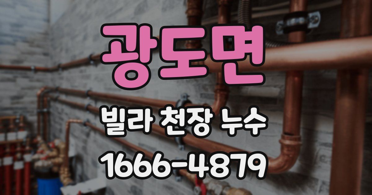 광도면 빌라 천장 누수
