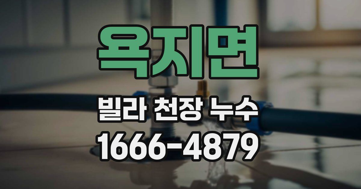 욕지면 빌라 천장 누수