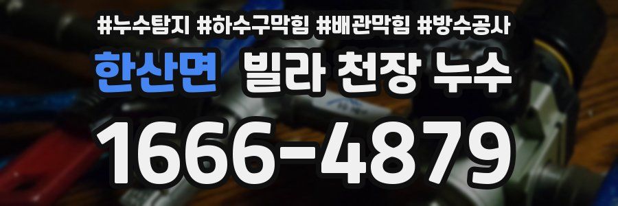 한산면 빌라 천장 누수