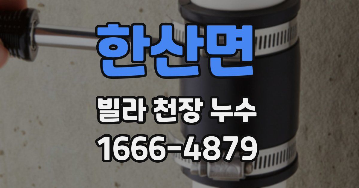 한산면 빌라 천장 누수