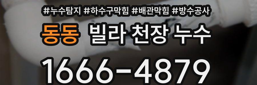 동동 빌라 천장 누수