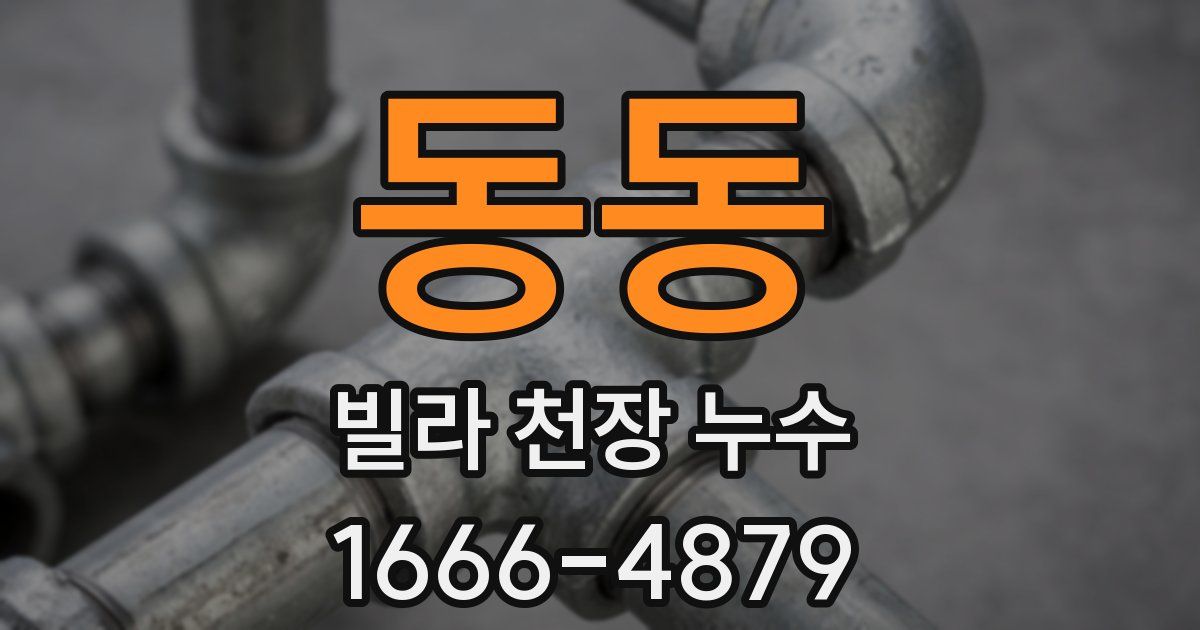 동동 빌라 천장 누수