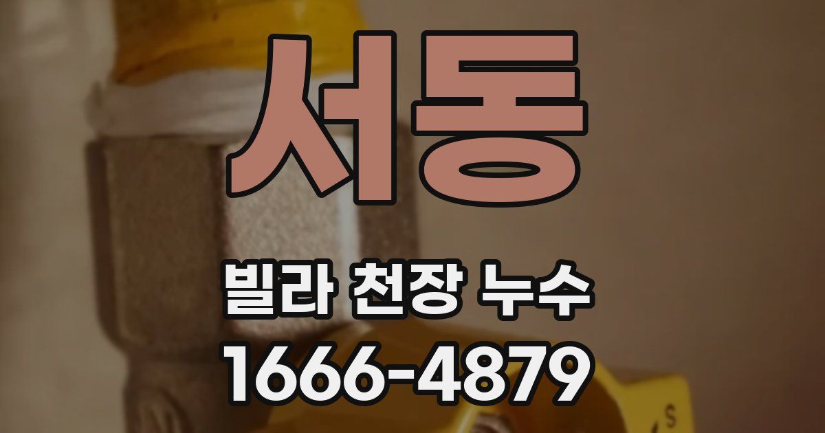 서동 빌라 천장 누수