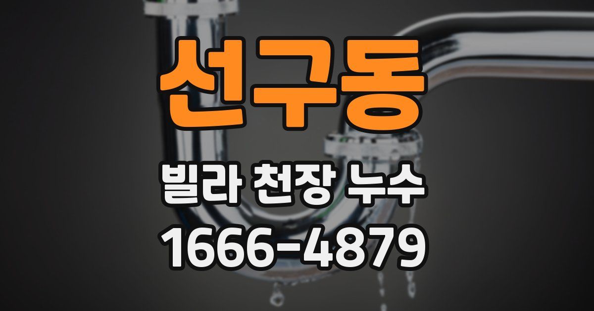 선구동 빌라 천장 누수