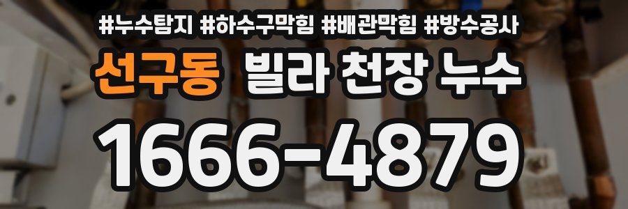 선구동 빌라 천장 누수