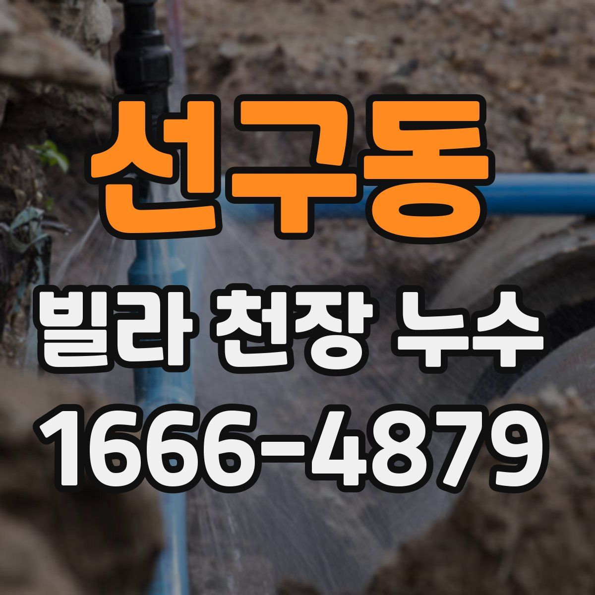 선구동 빌라 천장 누수