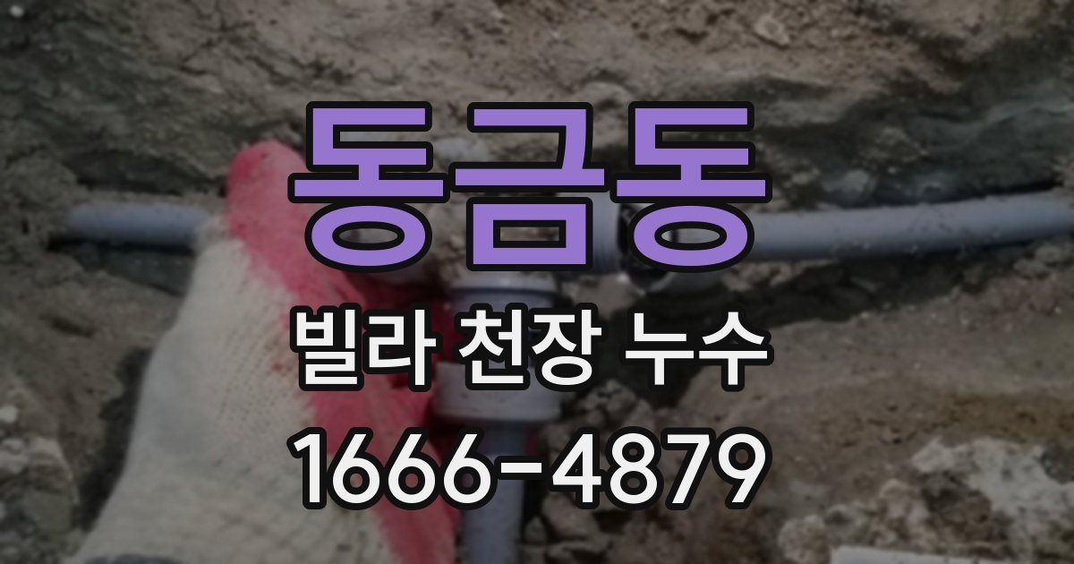 동금동 빌라 천장 누수