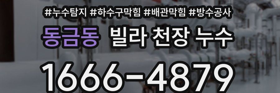 동금동 빌라 천장 누수