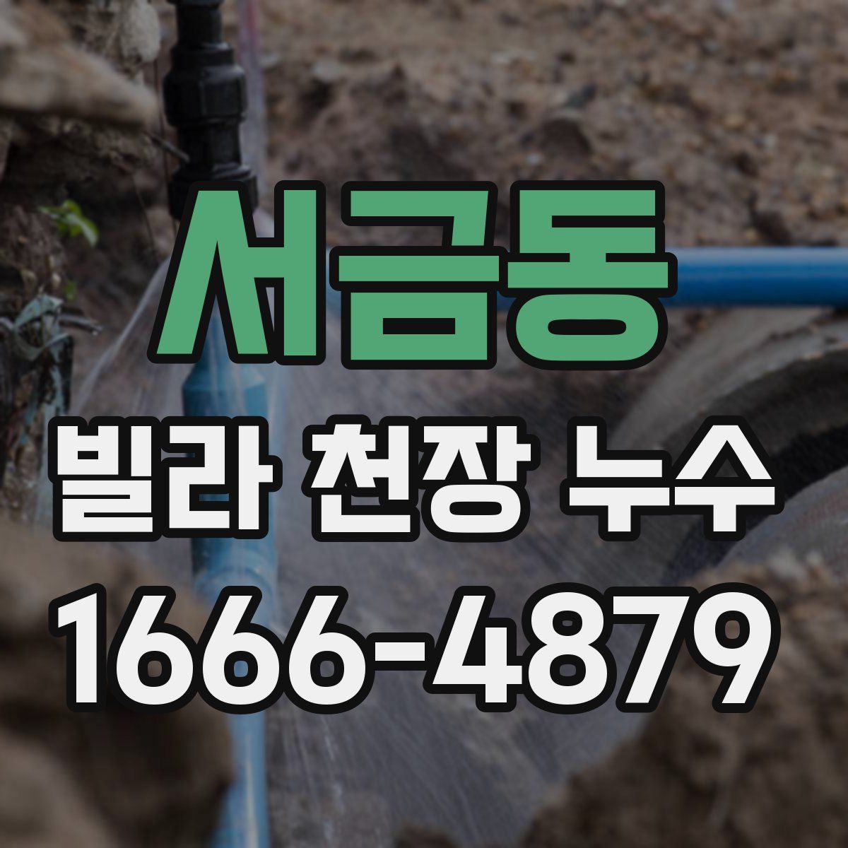 서금동 빌라 천장 누수