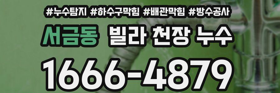 서금동 빌라 천장 누수